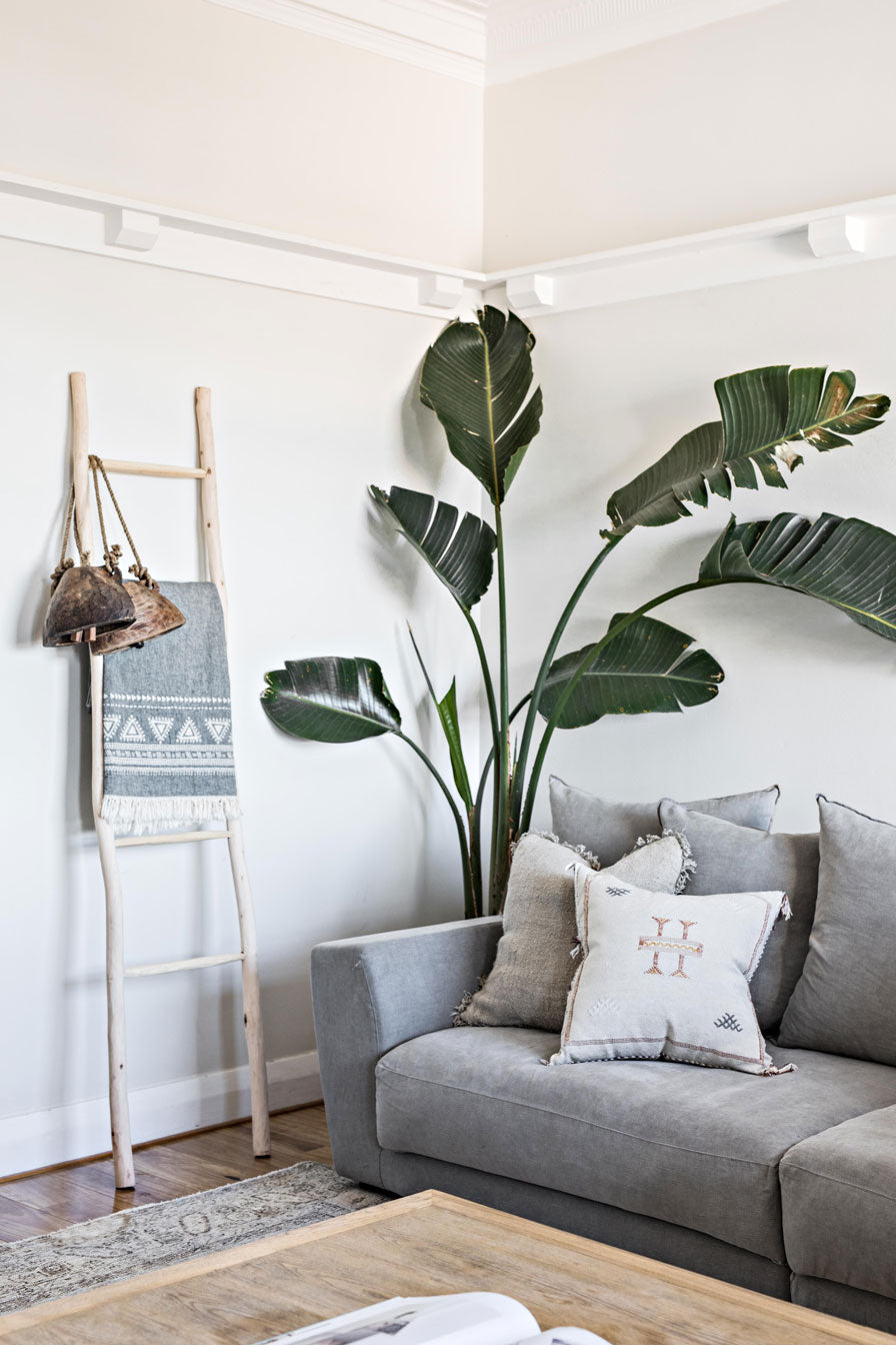 Collections – Home on Darley