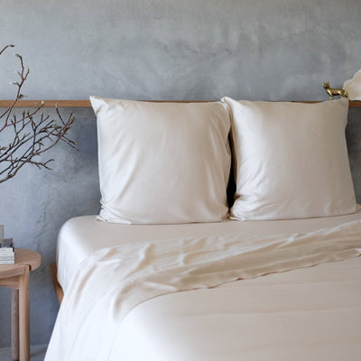 Organic Bamboo Mulberry Threads European Pillowcase