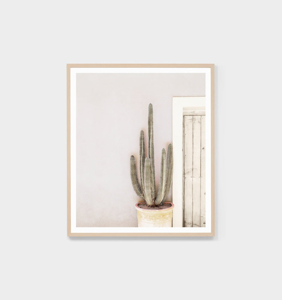 Cactus Terrace Framed Print