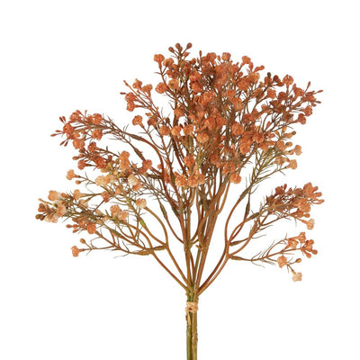 Apricot Gypsophila Bundle